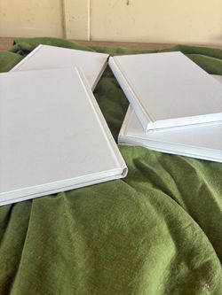 Four Books with Blank Pages. $15 cash for All. South Austin. 6x9”.