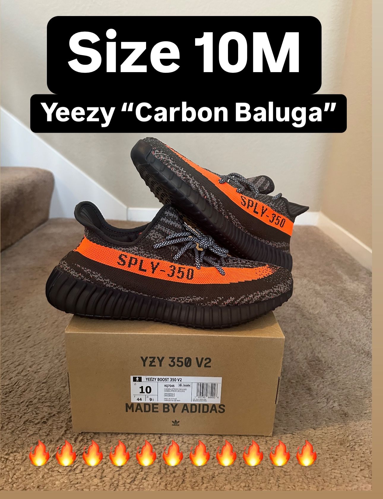 Adidas Yeezy Boost 350 v2 “Carbon Baluga”Size 10M