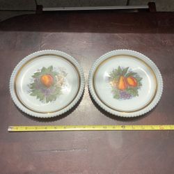 Set of 2 Vintage Hand Painted Plates