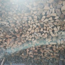 Firewood