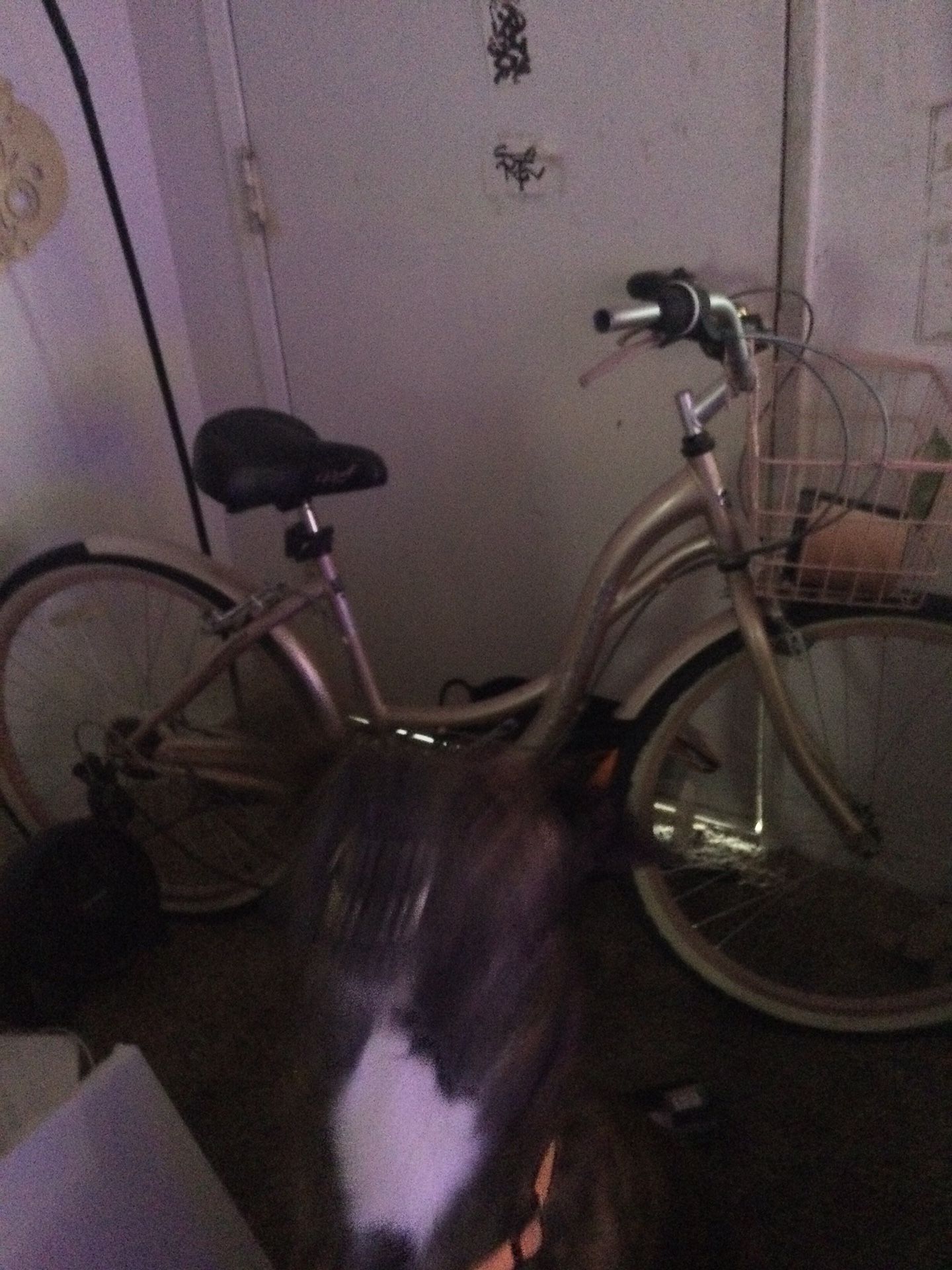 Woman’s Beach Cruiser