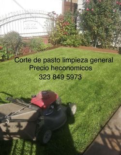 Yardero