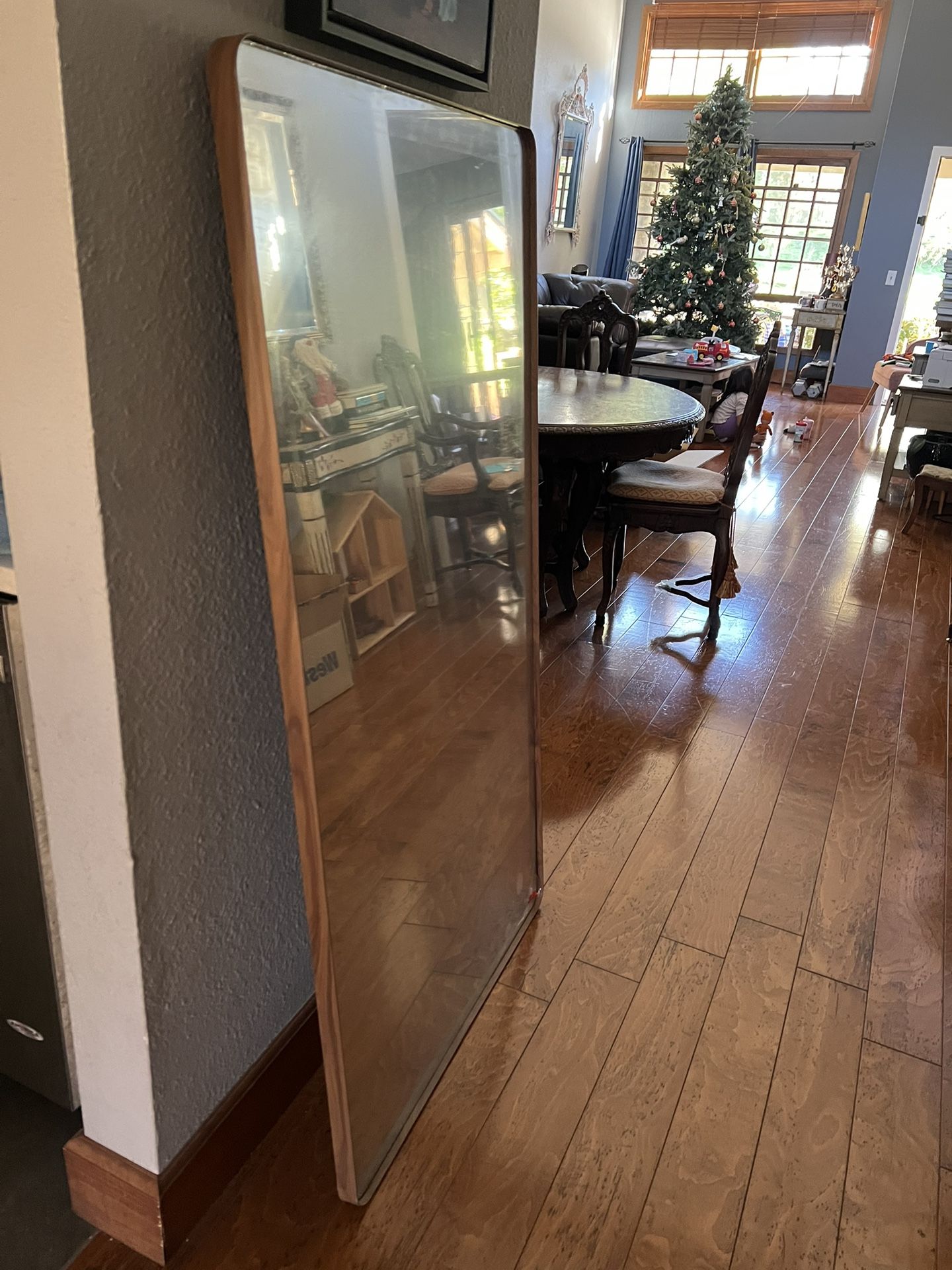 LOAAO Mirror. Metal Frame . 54.5 x29.5 Inc new Out Of Box.