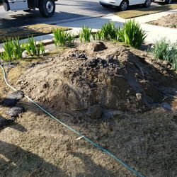 Free. Dirt