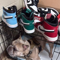 ALL Name Brand Shoes!