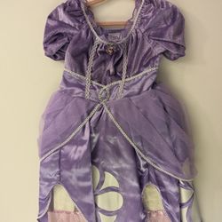 Sophia The First Dress