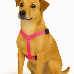 Adjustable Dog Harness – Pink, Blue, Orange, S, L, XL