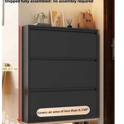 Wall Shoe Cabinet