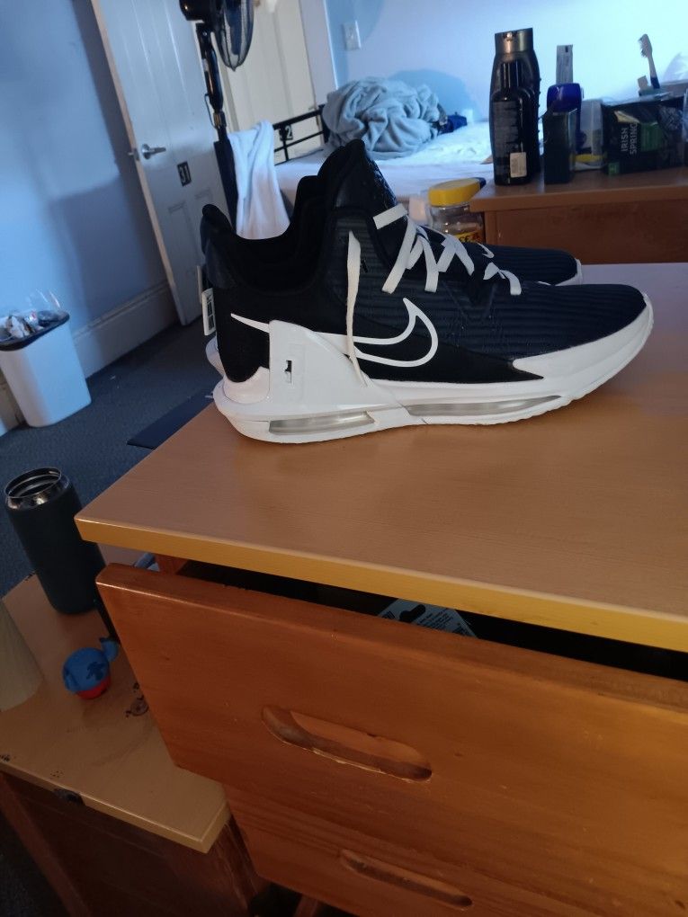 LeBron Witness 6