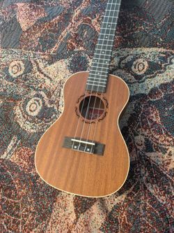 Best choice ukelele