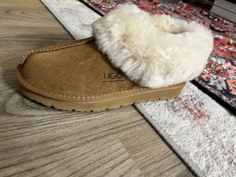 Brand New UGG Shepherd