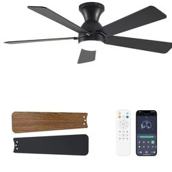 Ceiling Fan with Lights and Remote Control