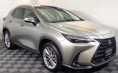 2025 Lexus NX 350