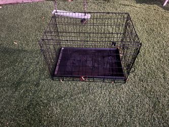 Pet Cage