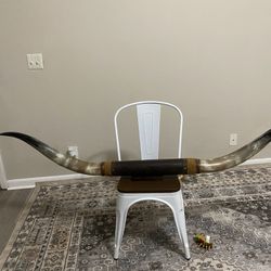 Longhorn Horns Mount 