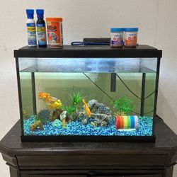 Fish Tank
