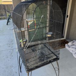 Big Bird Cage 