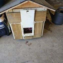 Small Cat Or Dog House With Bed