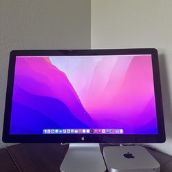 Mac Mini + Apple Display 