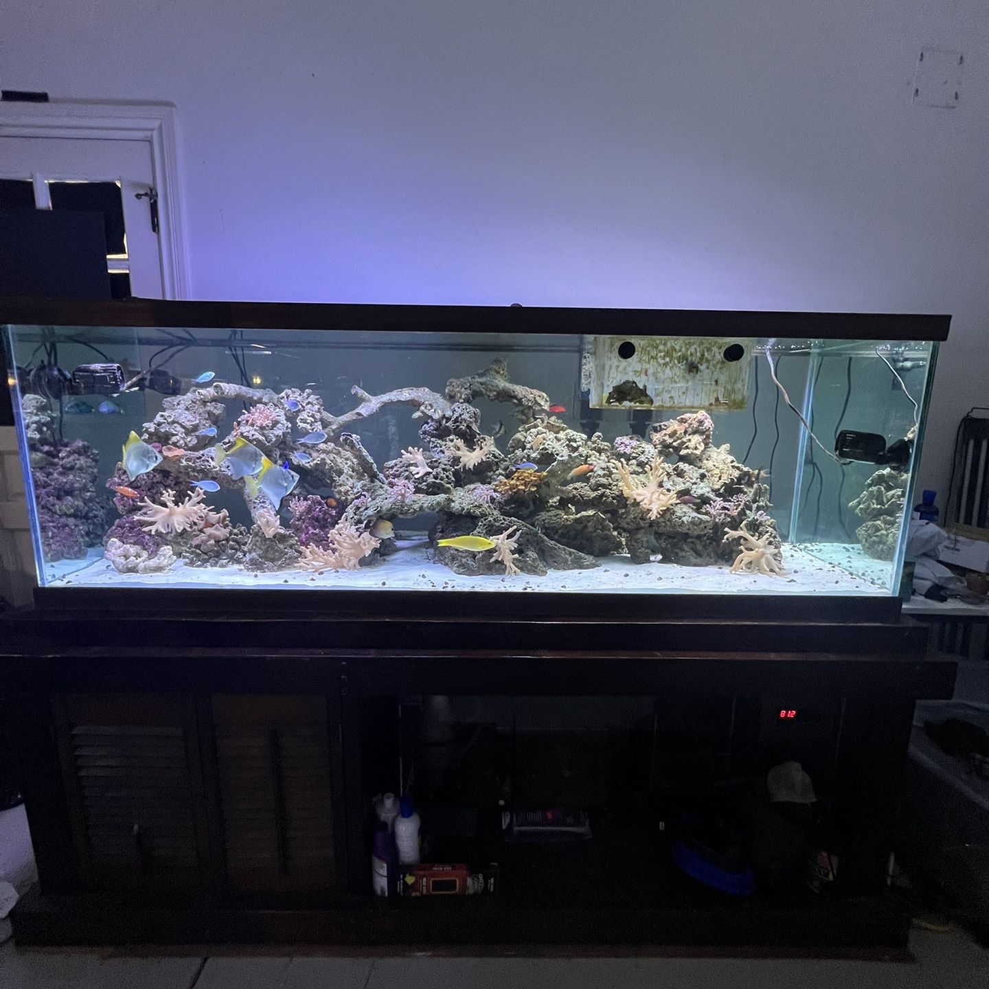 180 Gallon Fish Tank Saltwater Complete Setup OBO