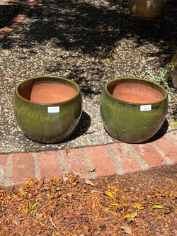 Plant Pots