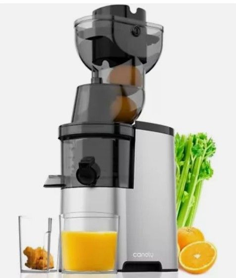 Masticating Juicer Machine 300W 3.5-inch Slow Cold Press Fruit and Veggie Juicer