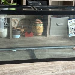 Fish Tank New