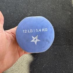 12lb Dumbbells