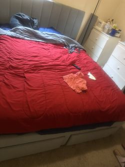 Bed frame and Mattress 