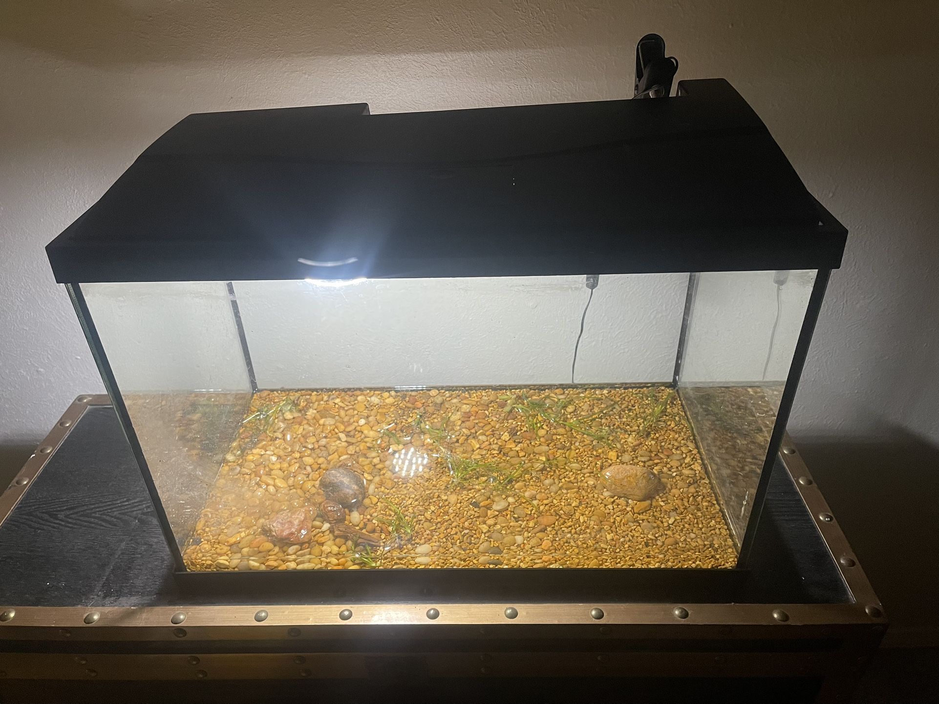 30 Gallon Fish Tank And Extras 