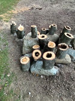 Logs