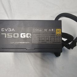 Evga 750w psu