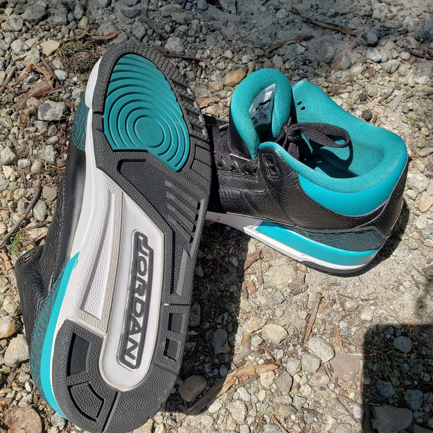 Air Jordan 3s (black & teal)