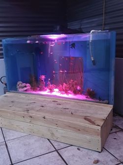 Fishtank 180galons selling with everything in the pictures,,,$350