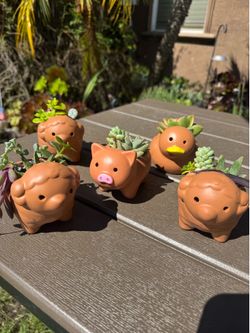 Cute lil animal planters w succulents