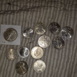 Pure Silver Coins