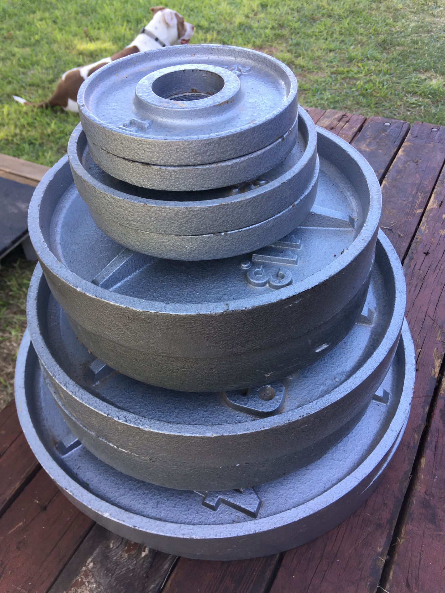 $115! 225 lbs! Olympic weights / 2” hole plates!!
