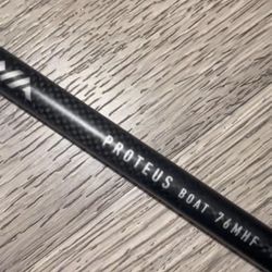 Daiwa Proteus Boat Rod 76MHF