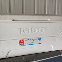 New Igloo Cooler