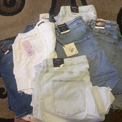 Plus Size Shorts 