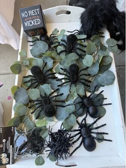 Spiders and box