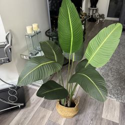 Pretty Artificial Plant 4 Ft Tall! Brand New