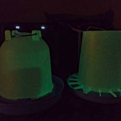 Chicken waterer and feeder Glow in Dark