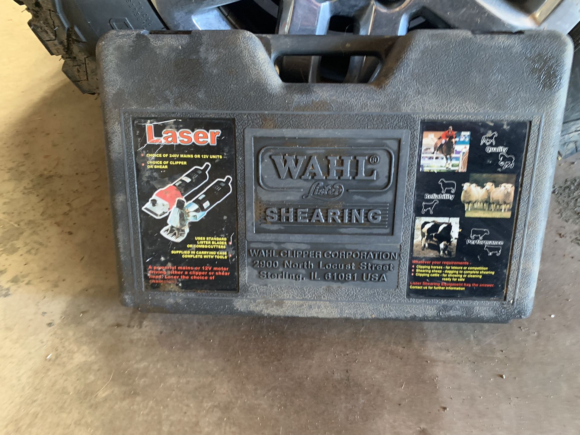 Wahl Shears