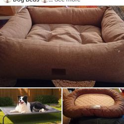 🐶 Dog Beds 🐶