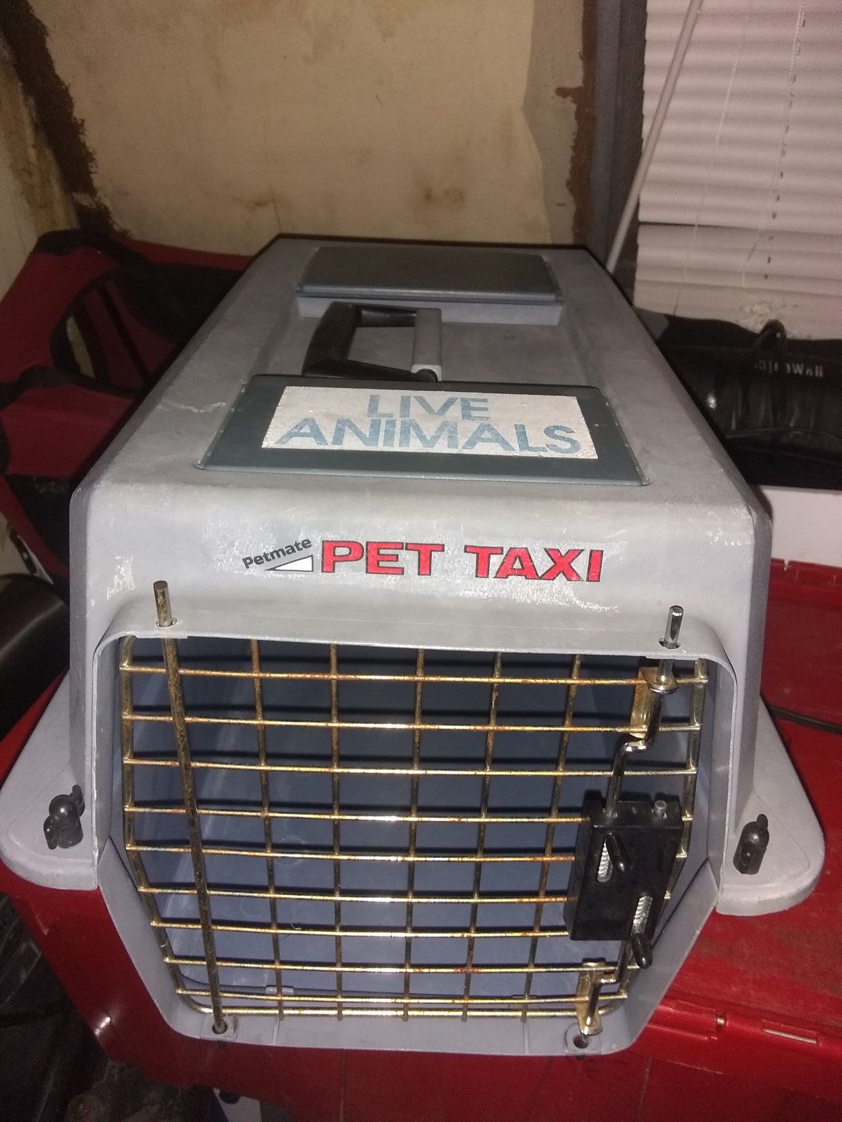 Pet Traveling