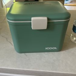 Little Ice Chest 