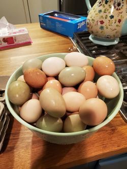 Fresh eggs