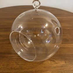 Clear Glass Globe Terrarium / Decorative Orb 
