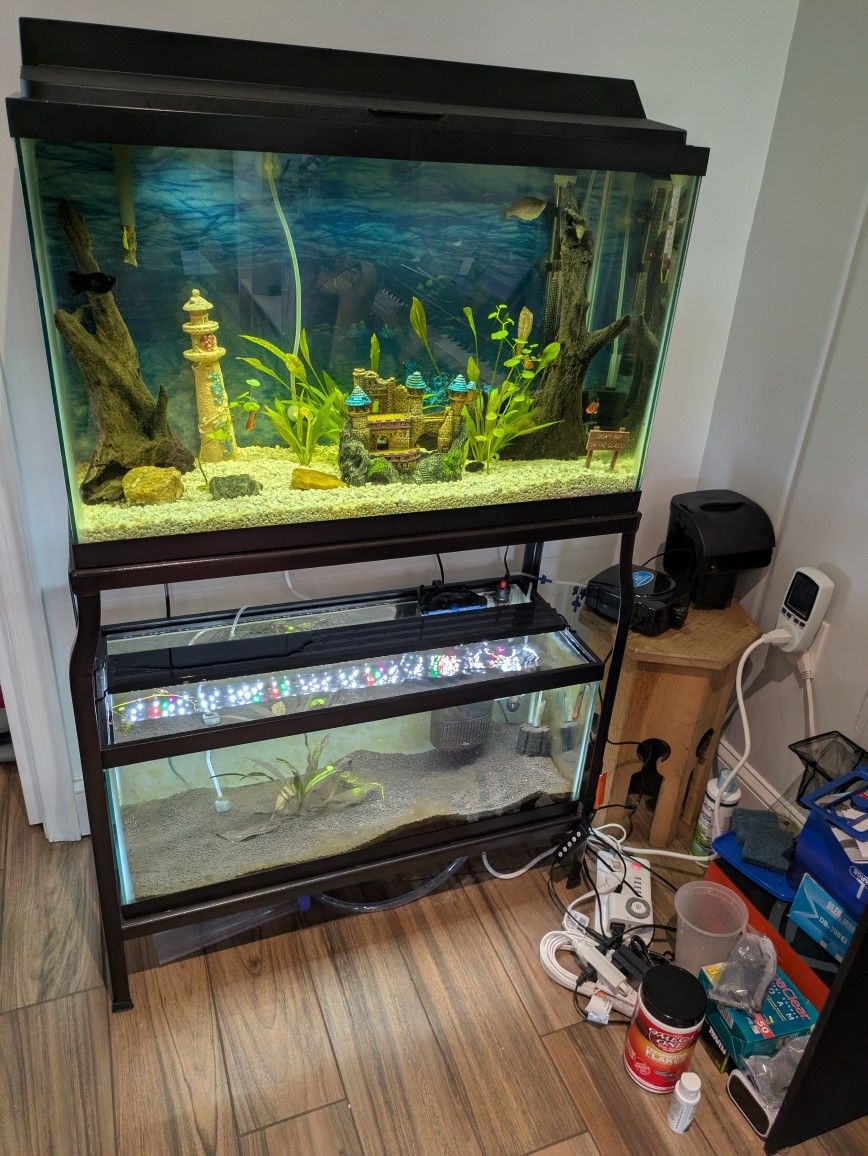 Complete Dual-Tank Aquarium Setup – Ready to Go!